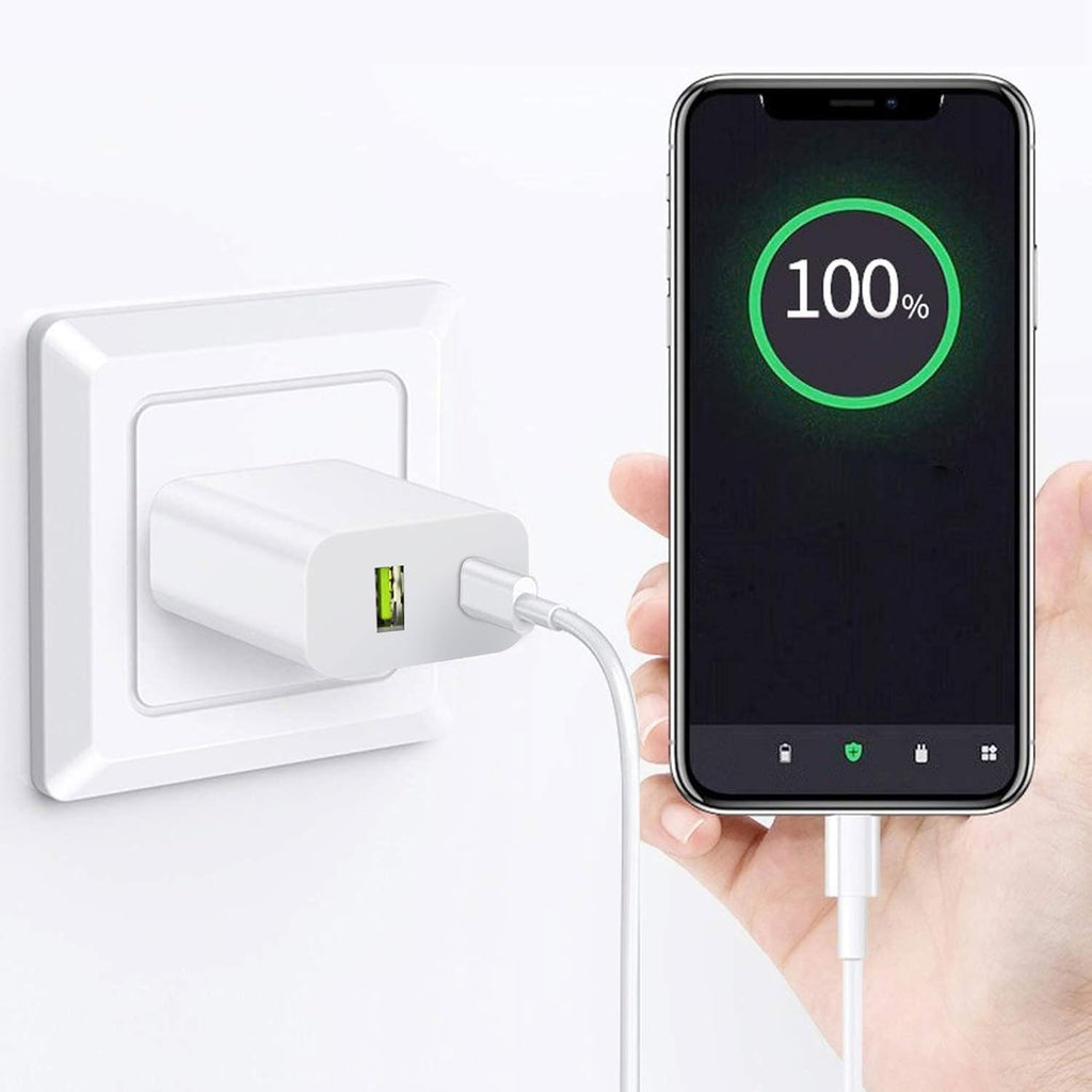 Dual Port Type C Wall Charger