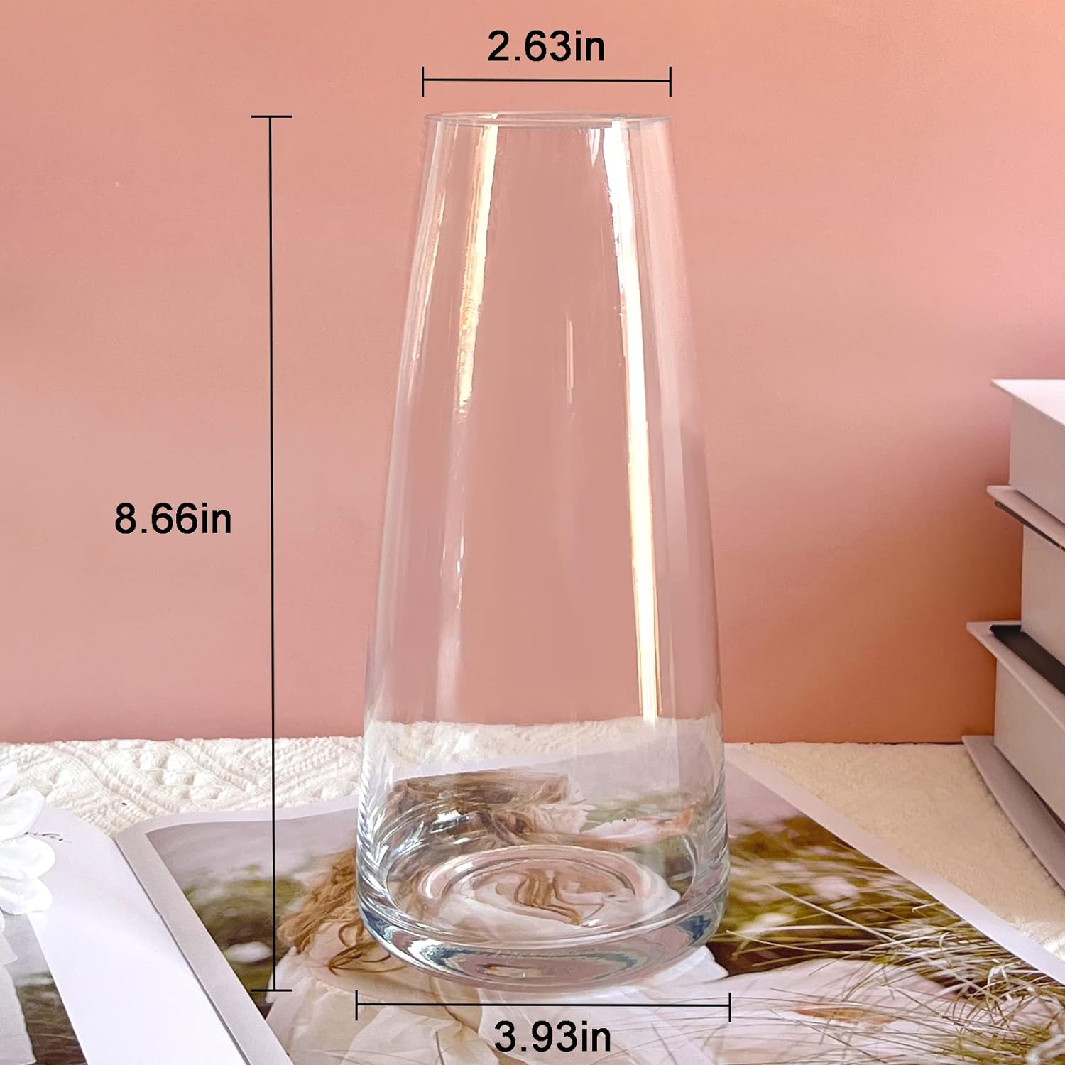 8.7" Modern Glass Vase for Flowers